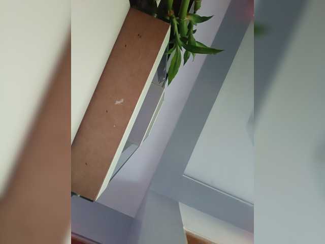 candicelovee, live now on BongaCams