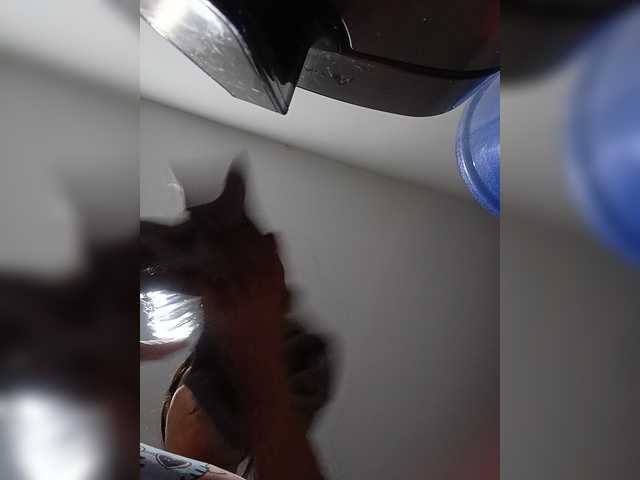 candicelovee live cam on BongaCams