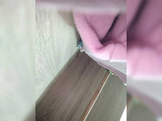 candicelovee live cam