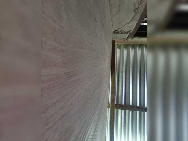 candicelovee — live female cam