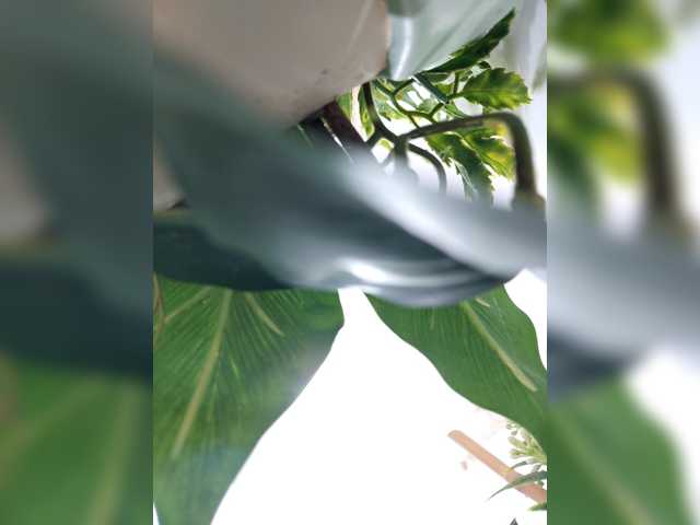 candicelovee live cam on BongaCams