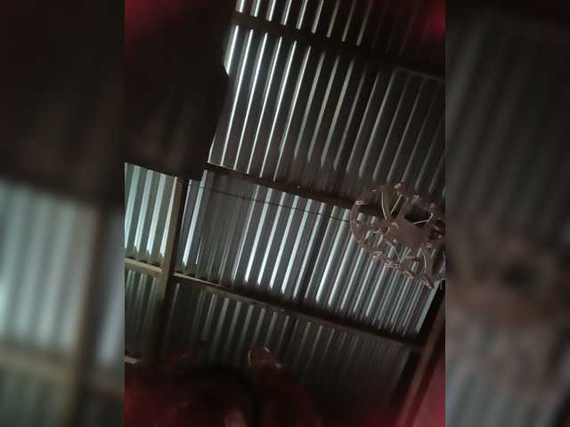 candicelovee