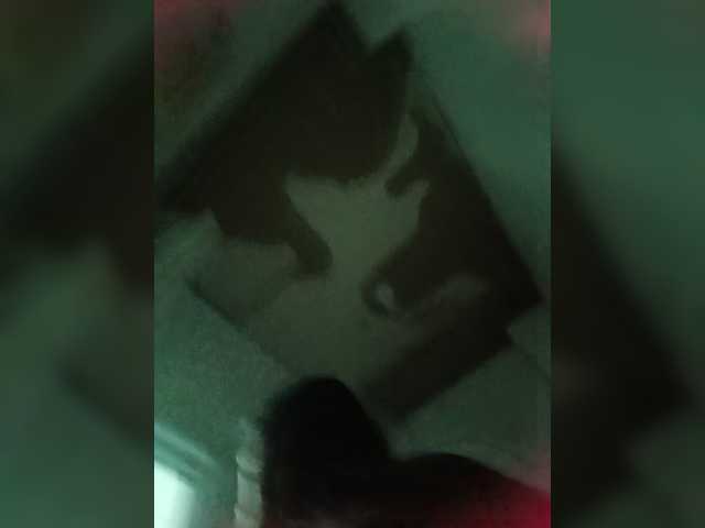 candicelovee live cam