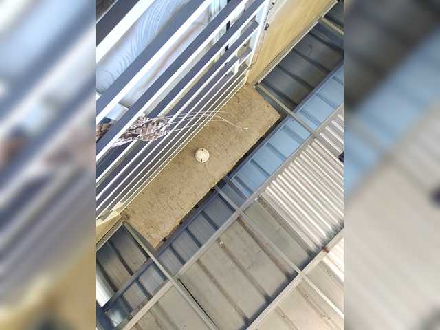 candicelovee live cam