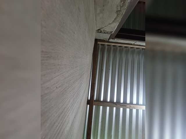 candicelovee live cam on BongaCams