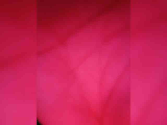 candicelovee webcam