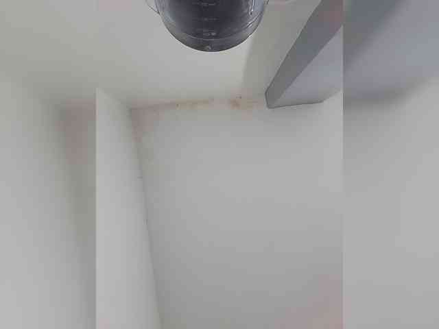 candicelovee webcam