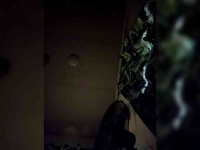 candicelovee webcam