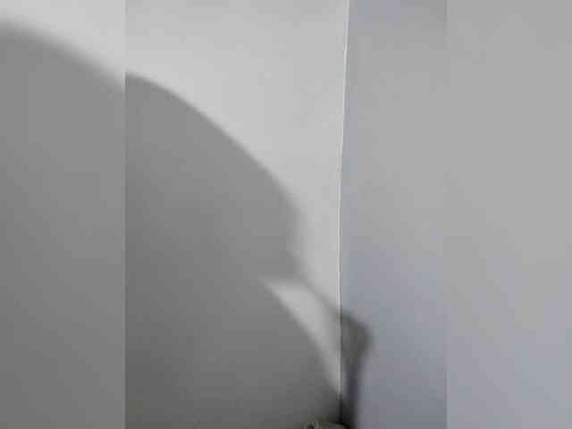 candicelovee webcam