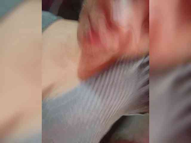 candicelovee webcam