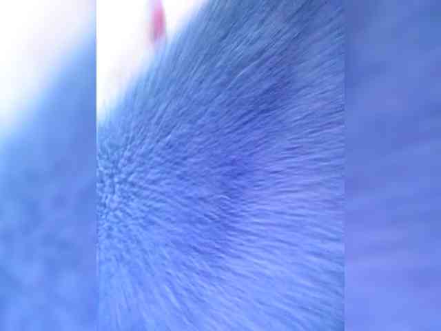 candicelovee webcam