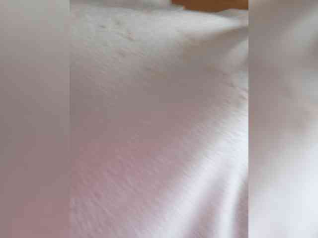 candicelovee webcam