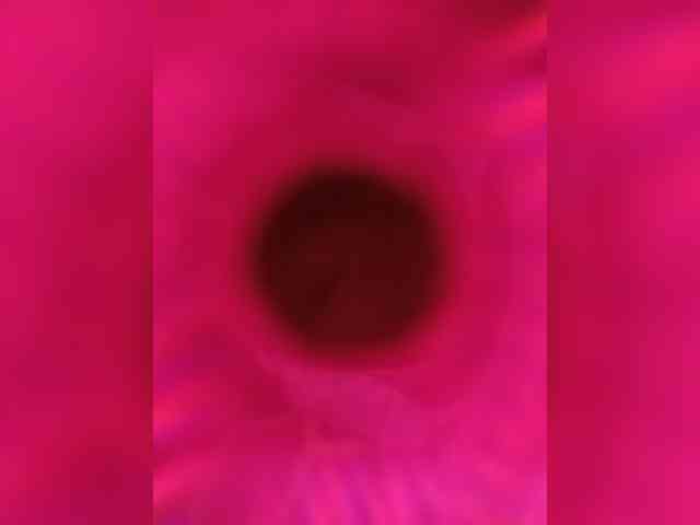 candicelovee's live room