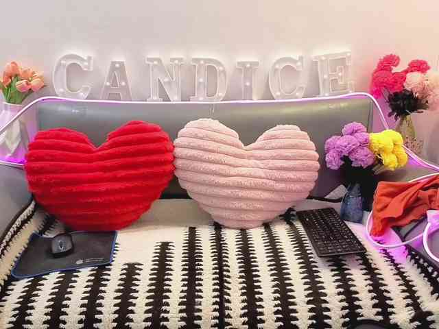 このモデルは現在ライブ中です。 candicelovee
