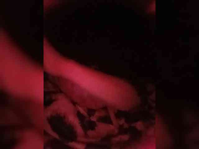 candicelovee webcam