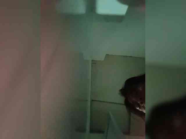 candicelovee webcam