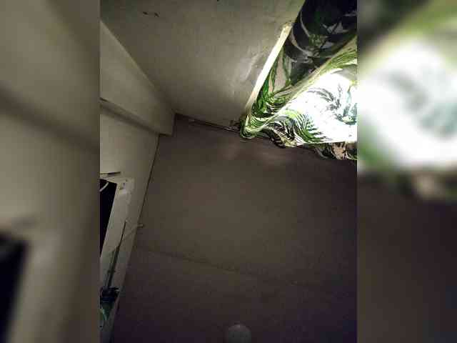 candicelovee webcam