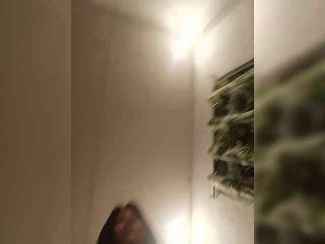 candicelovee webcam