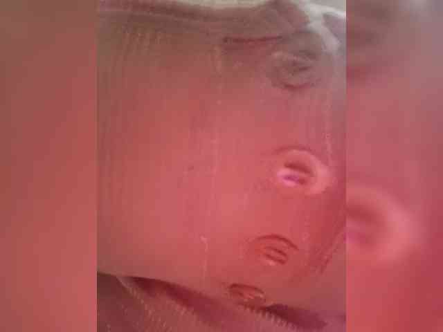 candicelovee webcam