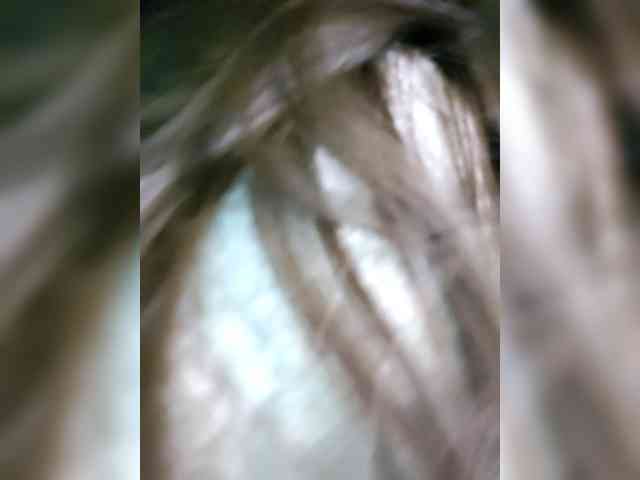 BDSM-Submissive webcam