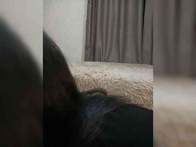 Kristicat webcam