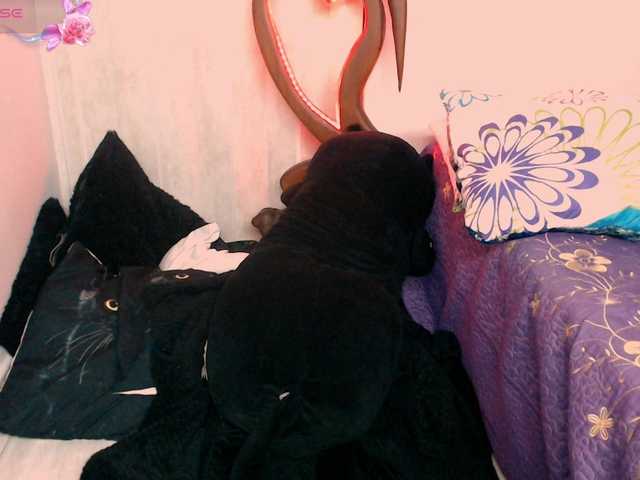 goddess-nahy live cam on BongaCams