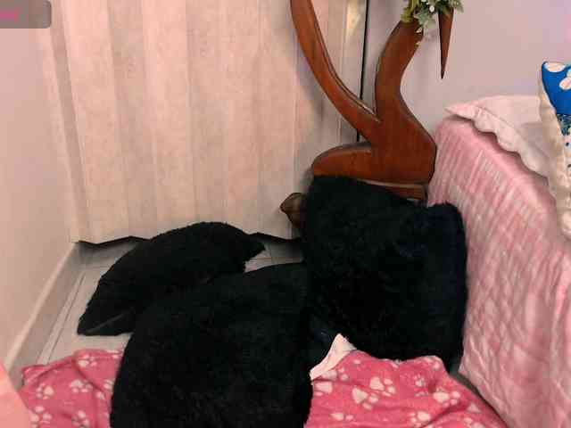 goddess-nahy webcam