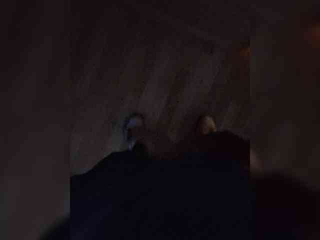 diawollo666 Live Webcam on BongaCams