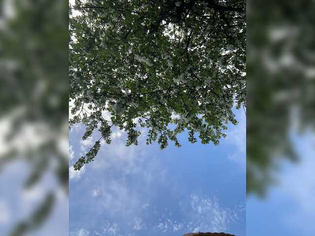 _AnnaMaria_