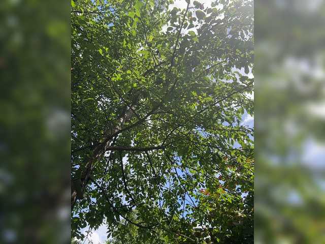 _AnnaMaria_