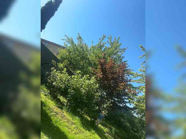 _AnnaMaria_