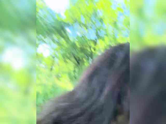 _AnnaMaria_ webcam
