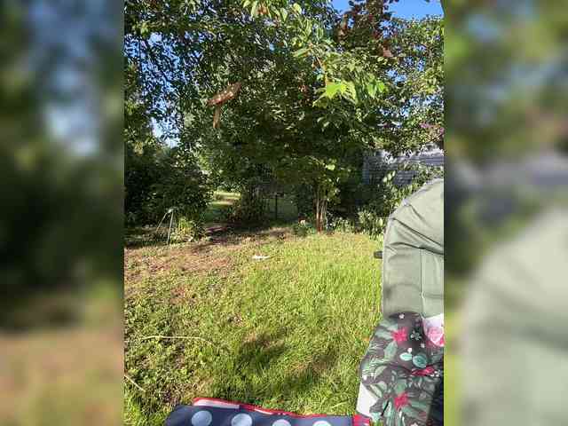 _AnnaMaria_ webcam