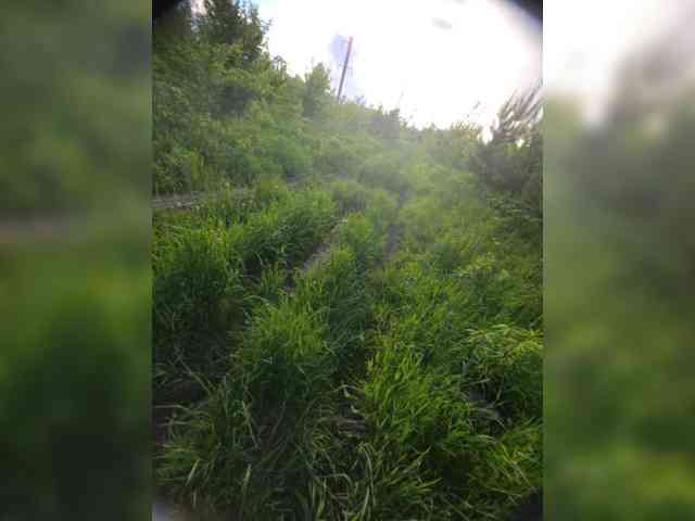_AnnaMaria_ webcam