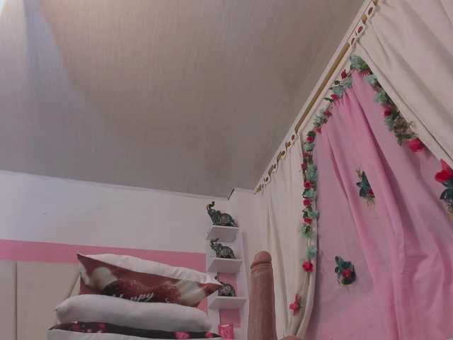 Preview of charlotte-111