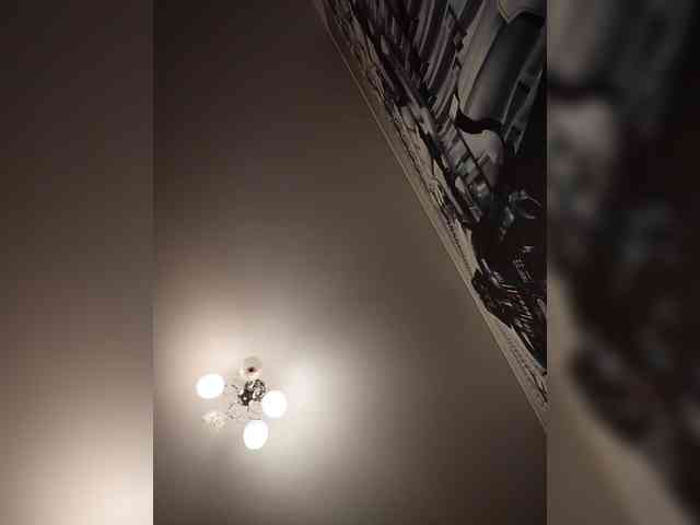 Vetka-konfetka webcam
