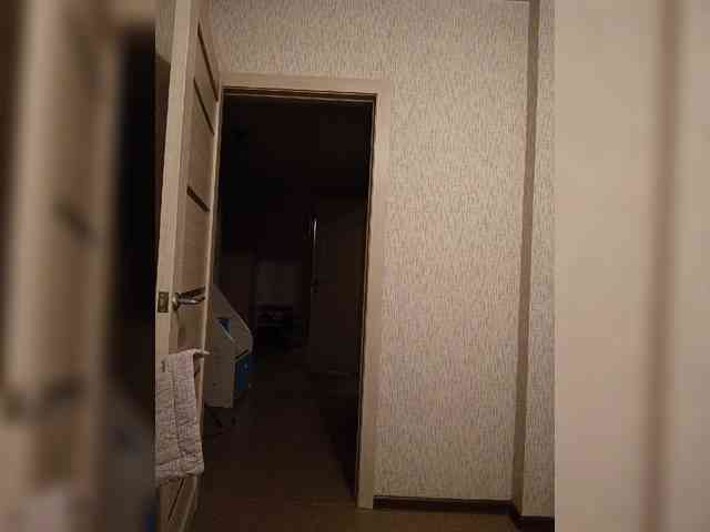 Vetka-konfetka webcam
