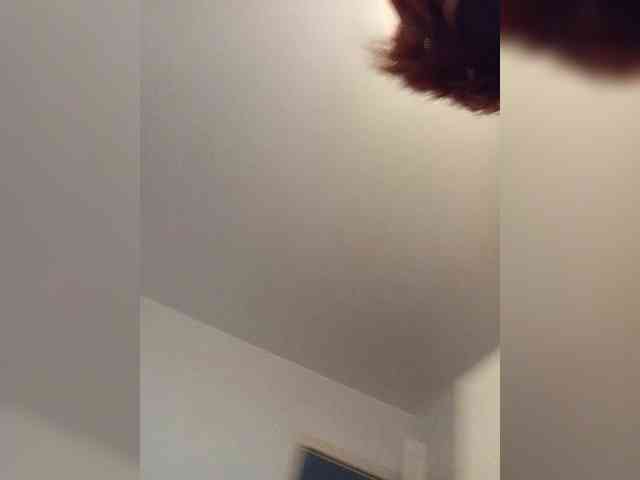 Vetka-konfetka webcam