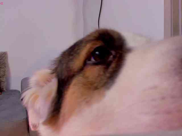 AmandaConner webcam