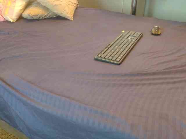 farianaall webcam