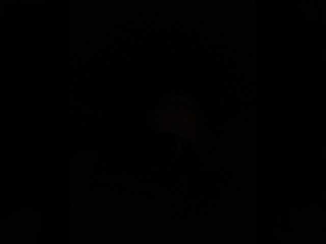 Dididon2305