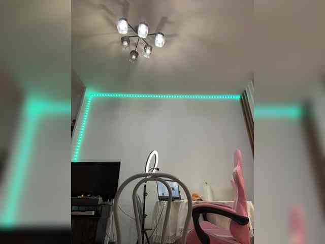 Prime_Kat webcam