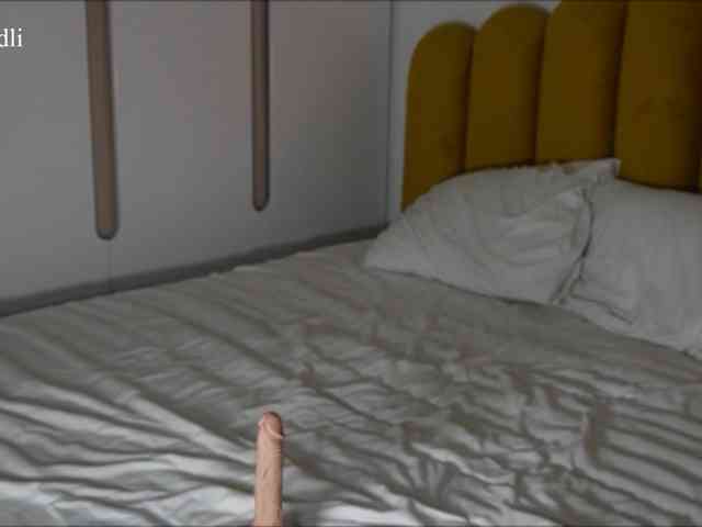 algraiv webcam