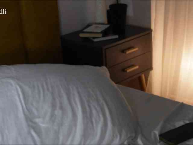 algraiv webcam