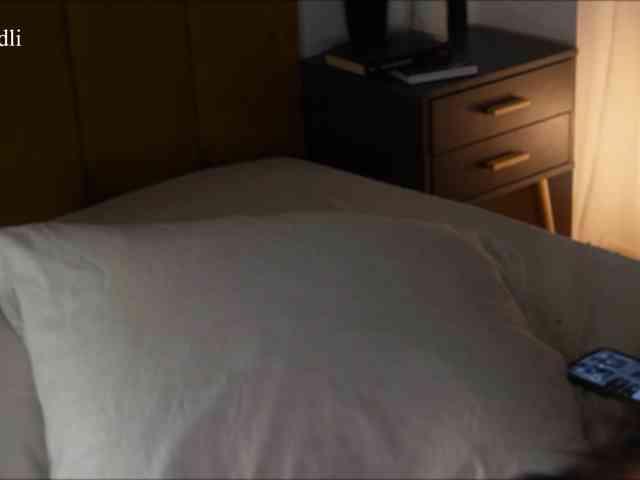 algraiv webcam