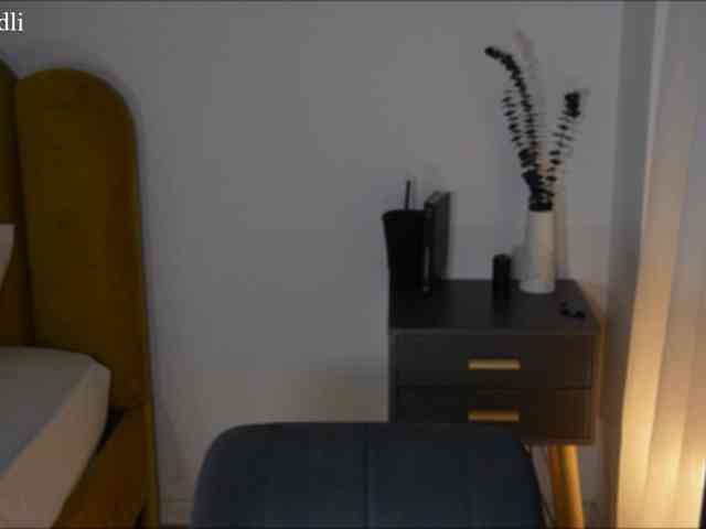 algraiv webcam