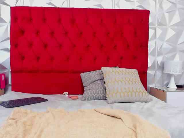 steacy-19 webcam