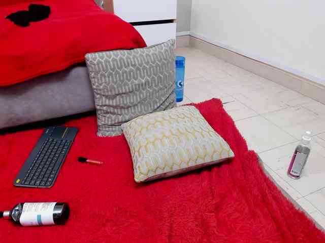 steacy-19 webcam