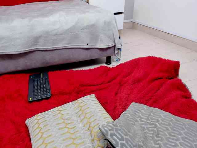steacy-19 webcam