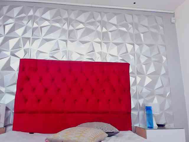steacy-19 webcam